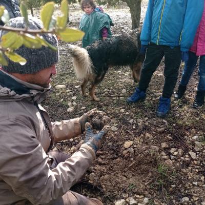 Expérience Truffe
